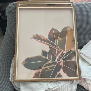 AtHome 3 piece gold frame decor